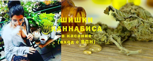 mdma Богородицк